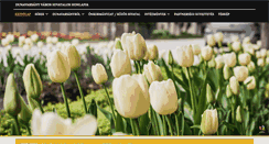 Desktop Screenshot of dunavarsany.hu